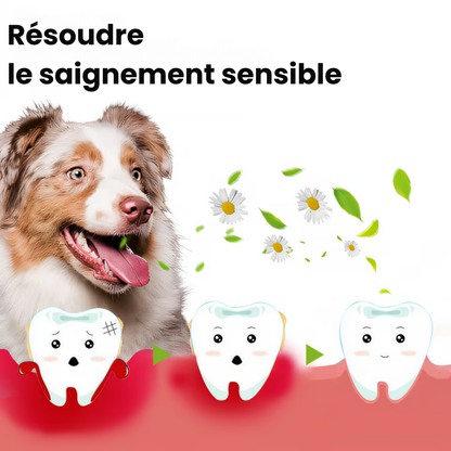 GEL RÉPARATEUR PET® | SOINS BUCAUX-DENTAIRE | ÉLIMINE LE TARTRE ET LES ODEURS