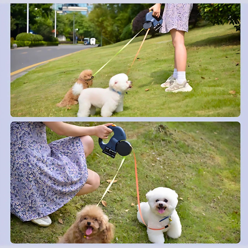 LAISSE LED DOUBLE | CONTRÔLE TOTAL ET SÉCURITÉ | PROMENADES FACILES À DEUX CHIENS