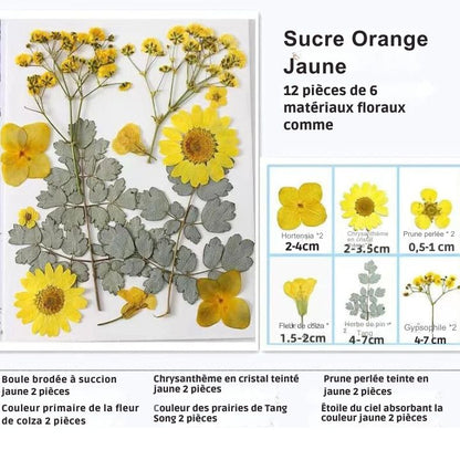 MARQUE-PAGES NATURE® | ÉLÉGANCE NATURELLE | LOT DE 40 PIÈCES UNIQUES